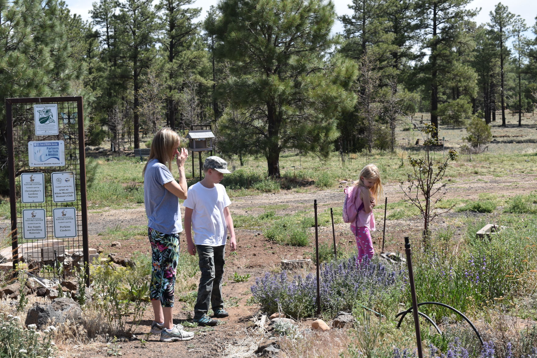 WMNC offers Ecology Walks and more